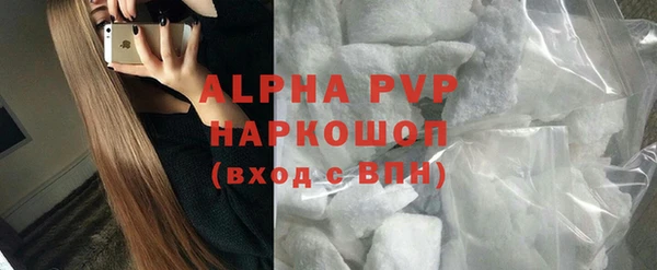 сатива Баксан