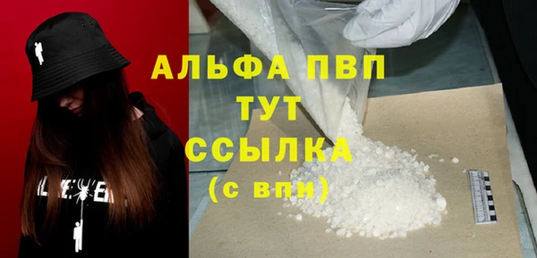 сатива Баксан