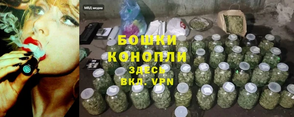 сатива Баксан